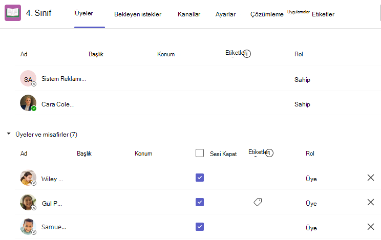 Silmek