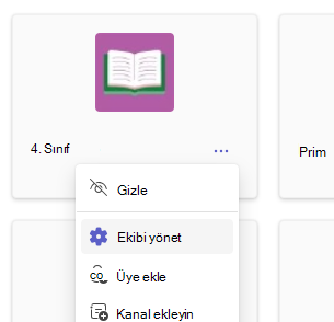 Ekibi yönet