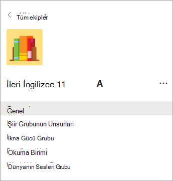 Lise sınıf ekibindeki kanallar.