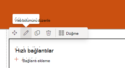 Web bölümünün ekran görüntüsü.