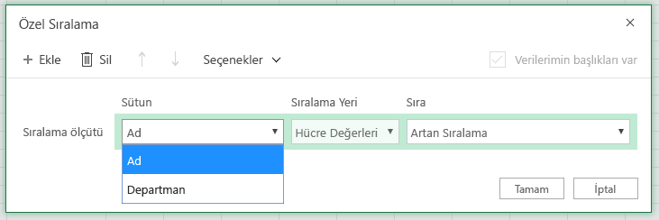 Sütun adında satır sütununa göre sıralamanın seçili olduğu Özel sıralama iletişim kutusu