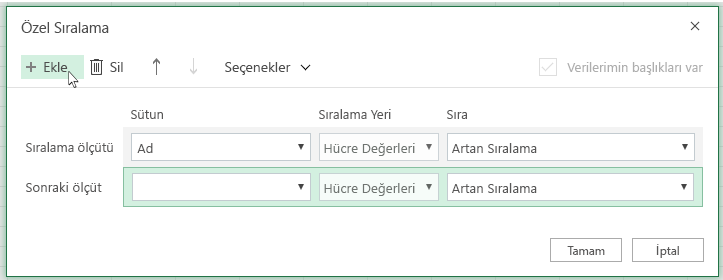 Ekle'ye tıkladıktan sonra, Sonra'nın yanındaki listede başka bir sıralama düzeyi gösterilir