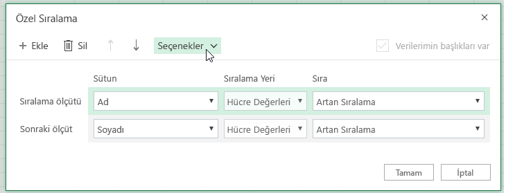 Seçenek düğmesinin seçili olduğu Özel sıralama iletişim kutusu