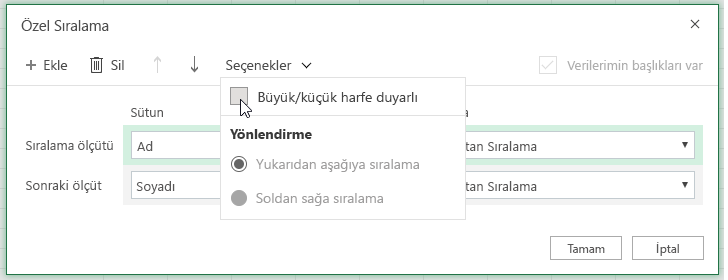 Büyük/küçük harfe duyarlı seçildiğinde Özel sıralama iletişim kutusu