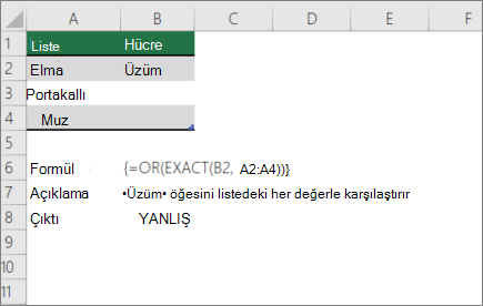 Bir değeri bir değer listesiyle karşılaştırmak için YADA ve ÖZDEŞ işlevlerini kullanma örneği