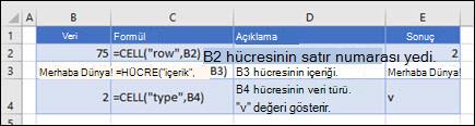 HÜCRE işlevi örnekleri