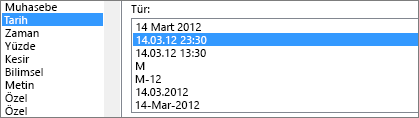 Hücreleri Biçimlendir iletişim kutusu, Tarih komutu, 14.3.2012 13:30 türü
