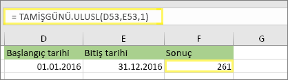=TAMİŞGÜNÜ. ULUSL(D53,E53,1) ve sonuç: 261