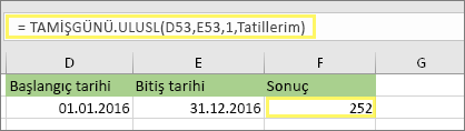 =TAMİŞGÜNÜ. ULUSLARARASI(D53,E53,1,Tatillerim) ve sonuç: 252
