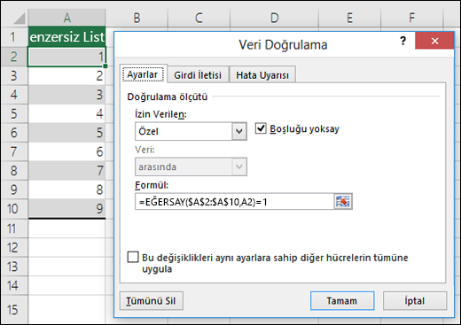 Örnek 4: Veri doğrulamada kullanılan formüller