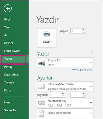 Çalışma sayfanızı önizlemek için Dosya > Yazdır'ı tıklatın