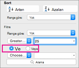 Filtre kutusunda, daha fazla ölçüt eklemek için Ve ya da Veya’yı seçin