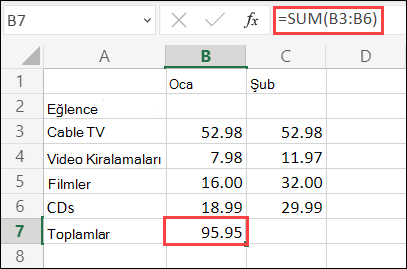 Web için Excel Otomatik Toplam formülü