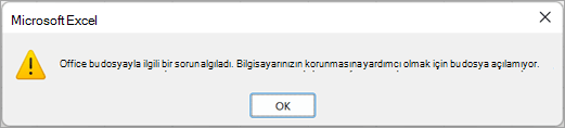 Excel'in bu dosyayla ilgili bir sorun algıladığını ve açılamadığını bildiren iletişim kutusu.