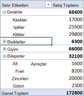 Satırlar bölümünde Kategorilerin, sütunlar bölümünde Ayların yer aldığı örnek PivotTable.