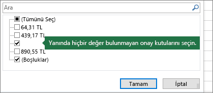 Seçili bir adsız onay kutusu