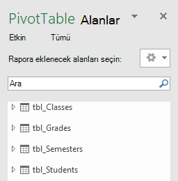PowerPivot PivotTable Alan Listesi