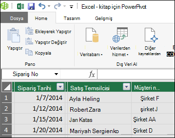 PowerPivot Tablo görünümü