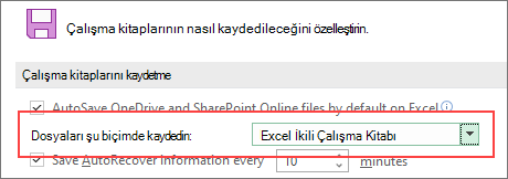 İkili biçimde kaydetme