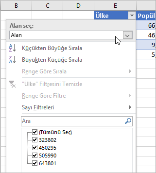 Filtre menüsü, Değer Görüntüle menüsü, listelenen bağlantılı veri türündeki alanlar