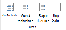 Şeritte Düzen grubu