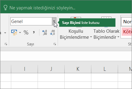 Sayı Biçimi liste kutusu