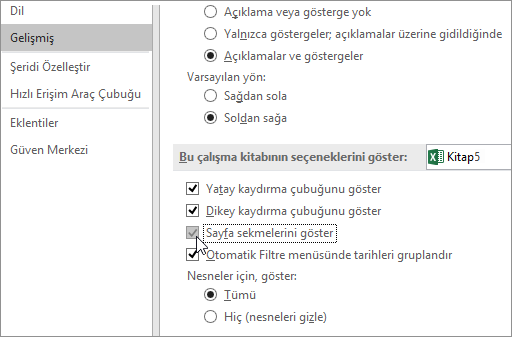 Excel seçeneklerinde sayfa sekmelerini göster