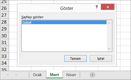 Sayfayı göster