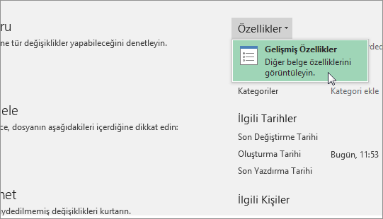 Gelişmiş Özellikler
