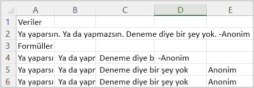 Örnek 2'nin sonuçları
