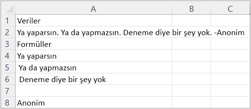 Örnek 4'ün sonuçları