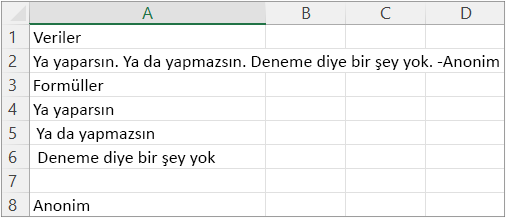 Örnek 5'in Sonuçları