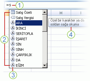 Formülü Otomatik Tamamlama