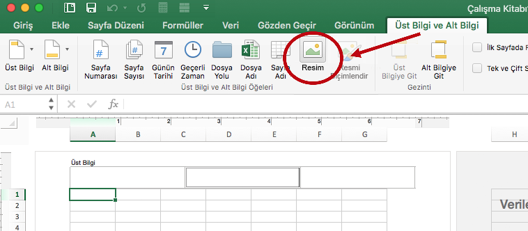 Şeritte Üst Bilgi & Alt Bilgi sekmesindeki Resim seçeneği