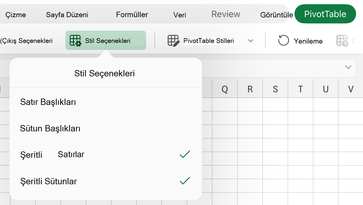 iPad'de Stil Seçenekleri açılan listesi