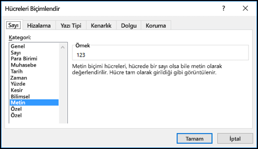 Sayı sekmesinin gösterildiği ve Metin seçeneğinin belirtildiği Hücreleri Biçimlendir iletişim kutusu