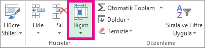 Giriş sekmesinde, Biçim'i tıklatın.