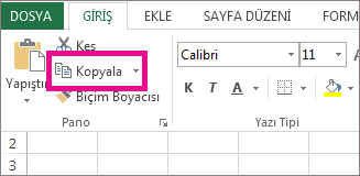 Giriş sekmesinde Kopyala'yı tıklatın.