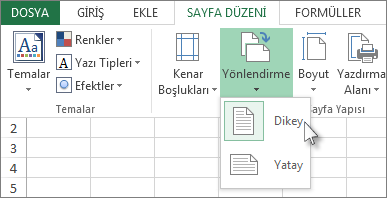 Giriş sekmesinde Yönlendirme'yi tıklatın
