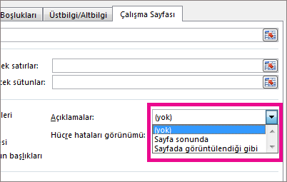 Sayfa sekmesinde, Açıklama altında bir seçeneği belirleyin
