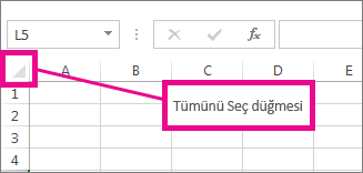 Tümünü Seç düğmesi