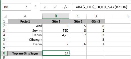BAĞ_DEĞ_DOLU_SAY işlevi