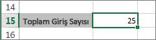 BAĞ_DEĞ_DOLU_SAY işlevinin sonuçları