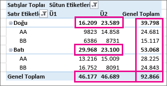 PivotTable Genel Toplamları ve Alt Toplamları