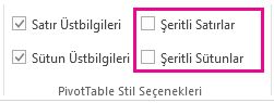 Tasarım sekmesindeki Şeritli Satırlar ve Şeritli Sütunlar kutuları
