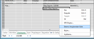 PowerPivot'ta bir alanı gizleme