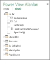 Power View'da gizli tablo ve alanlar