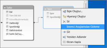 İstemci araçlarından gizlememe