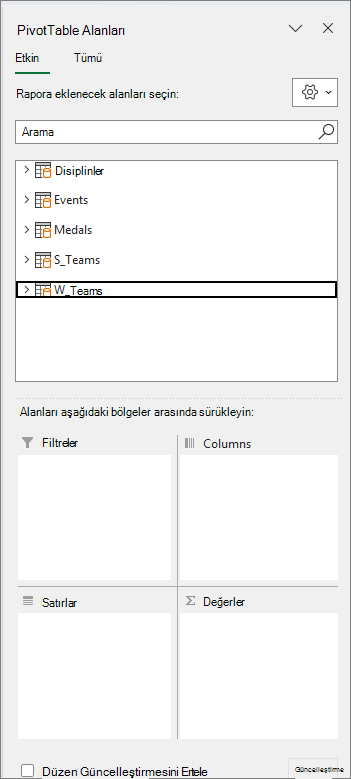 Dört PivotTable Alanı alanları