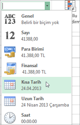 Sayı Biçimi galerisindeki Kısa Tarih komutu